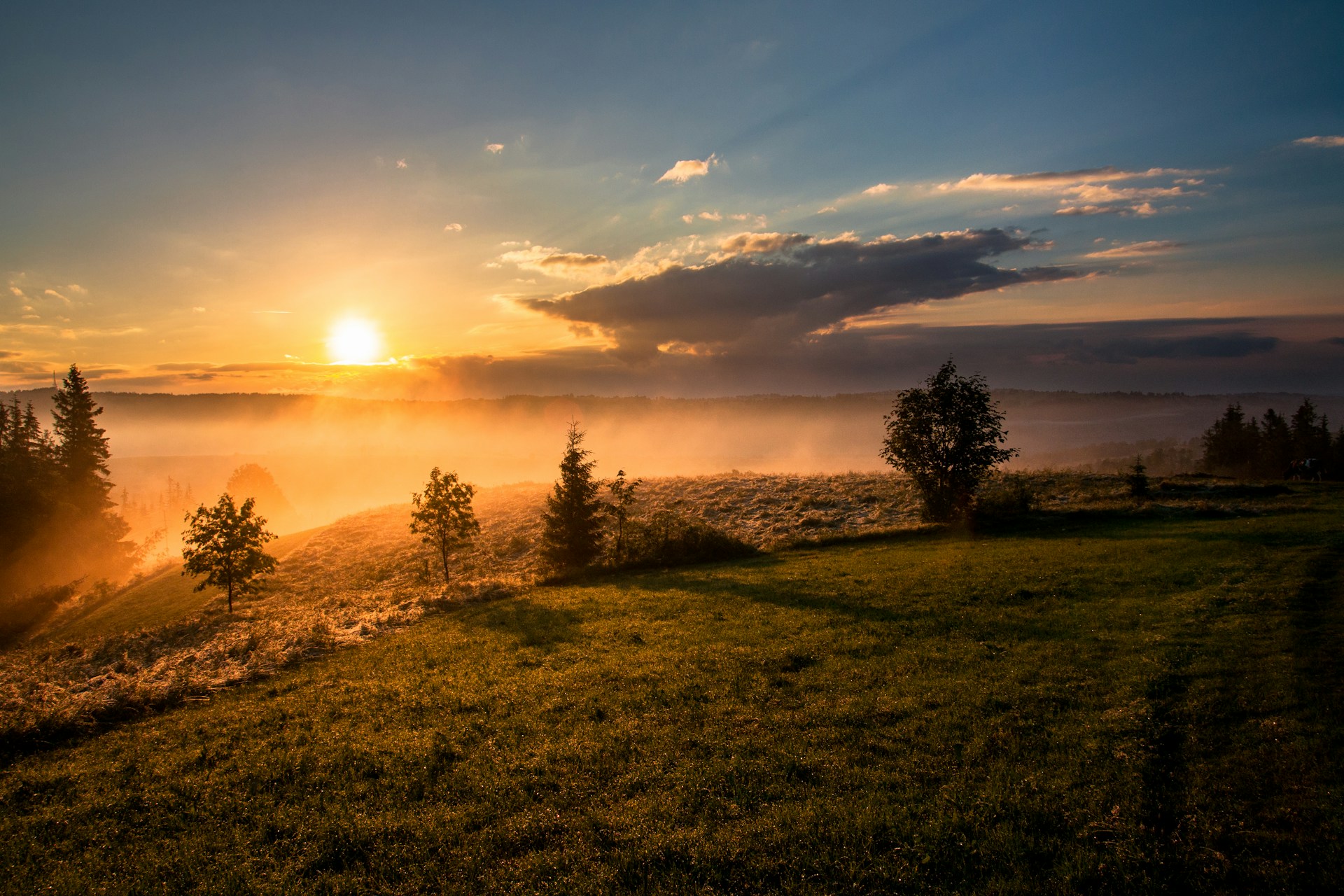 Sunrise over a field