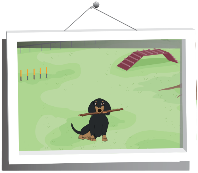 SkyPark Sparky the dog